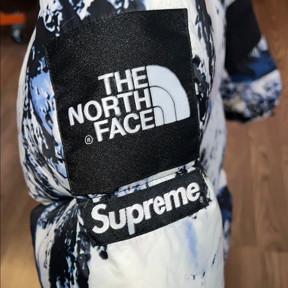 The North Face x Supreme Baltoro Coat - Picture 4 of 4